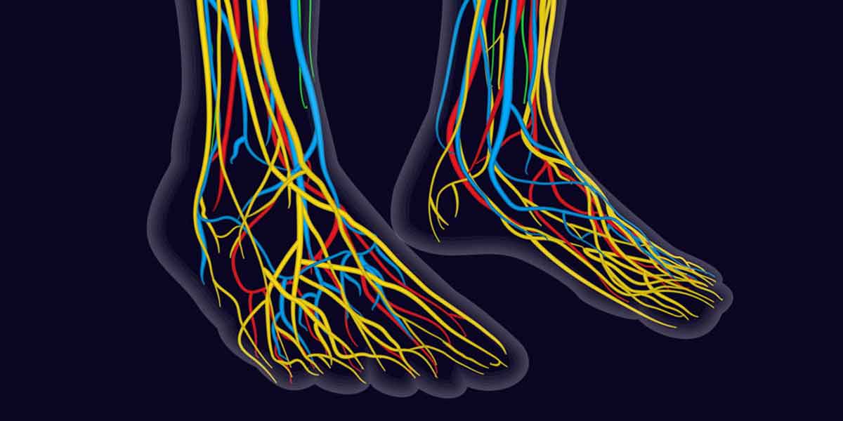 charcot-marie-tooth-disease