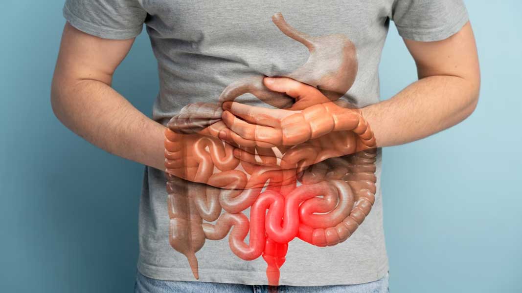 gut-health